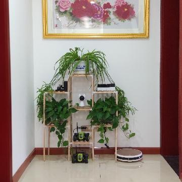 立天迅捷头像