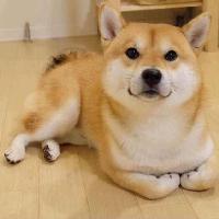 生活教会人思考头像