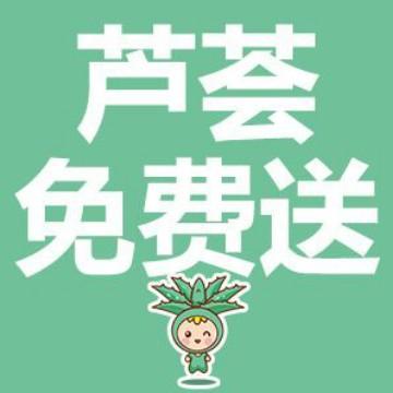 芦荟免费送头像
