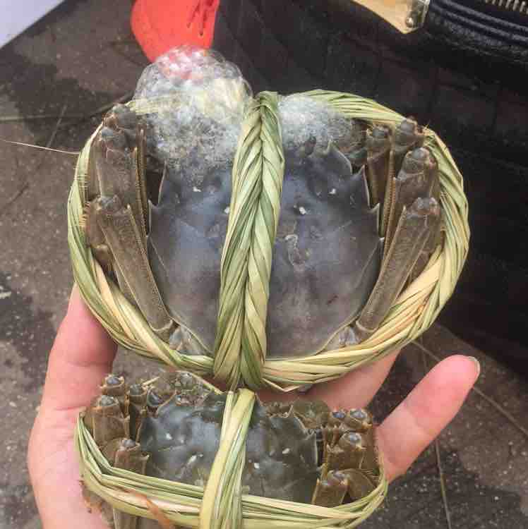 李傲荣头像