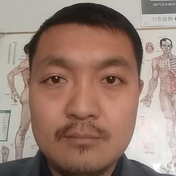 13703456010头像