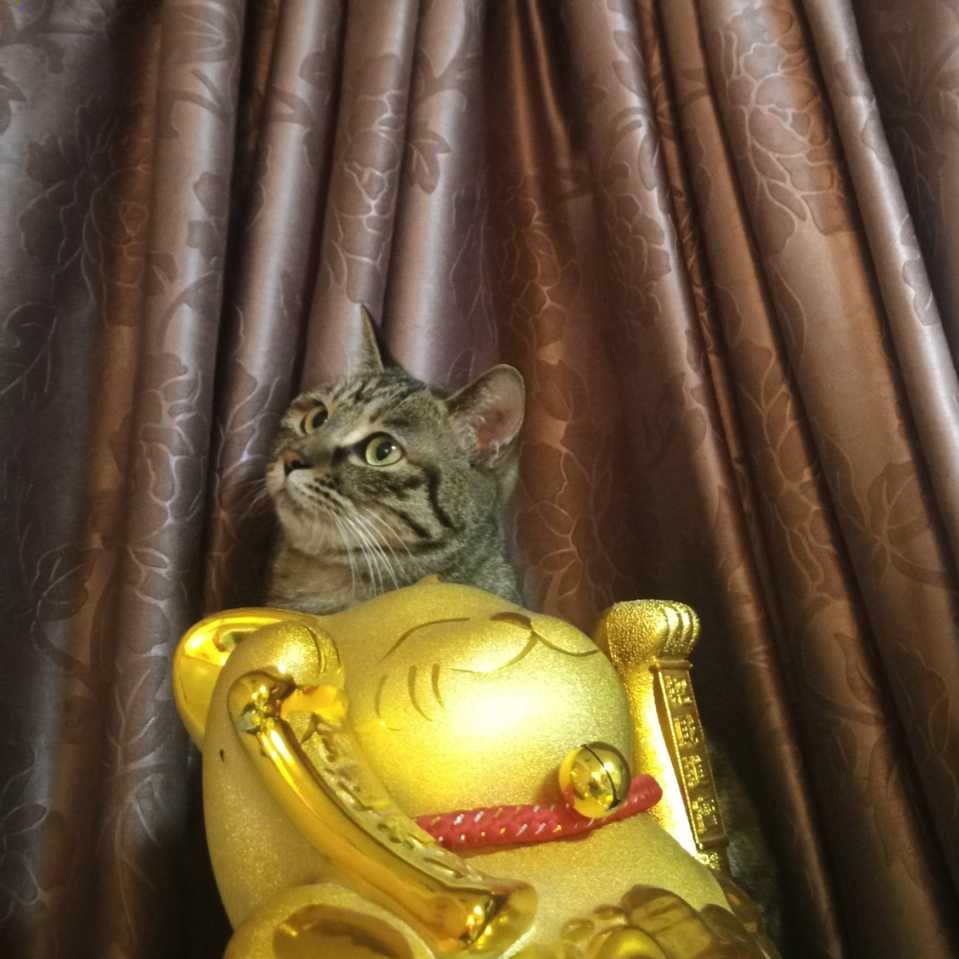 小荷7602头像