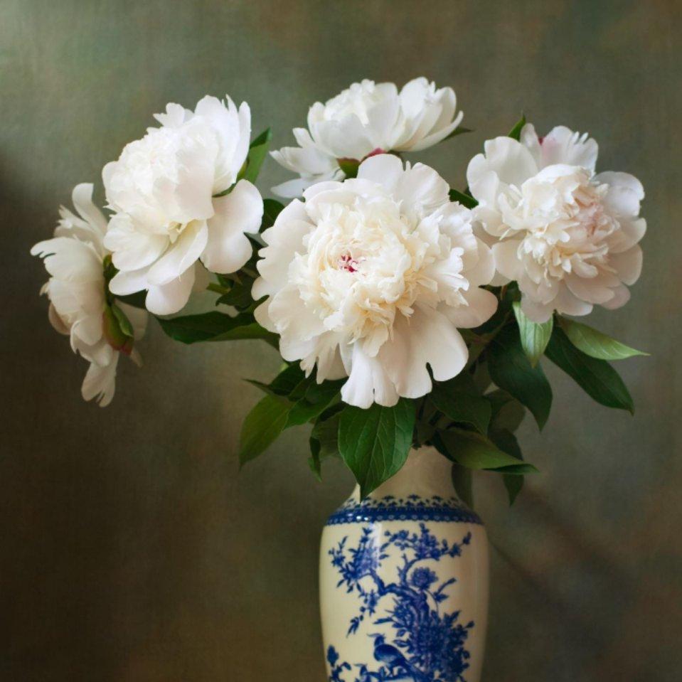 陈咨杰的家长头像