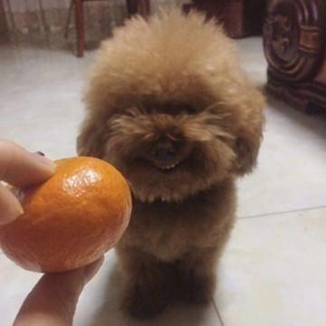 影视巴啦啦o头像