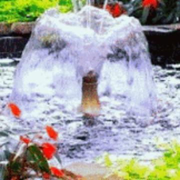 用户2262087363203头像