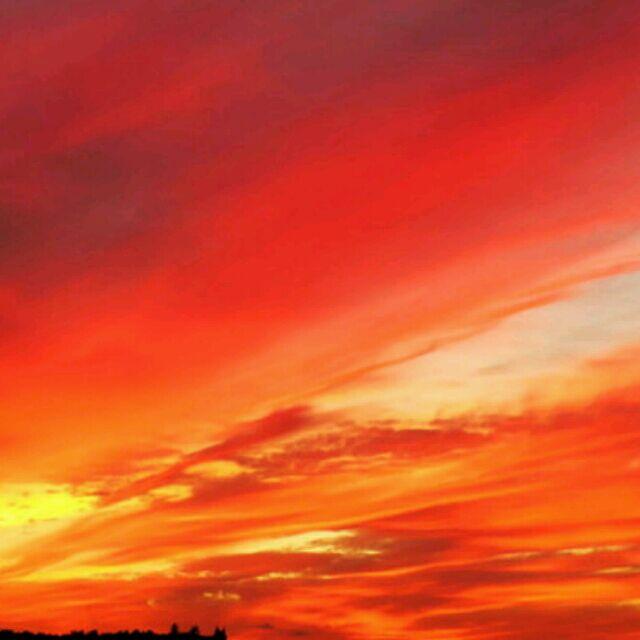 问斜阳77480436头像