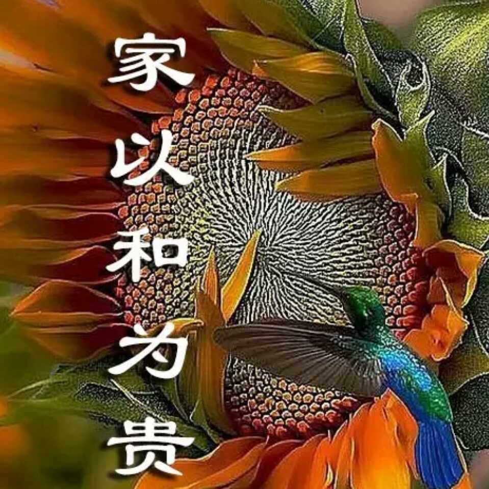 德行天下李立文头像