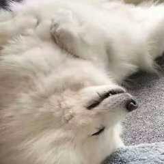 用户8927892281227头像