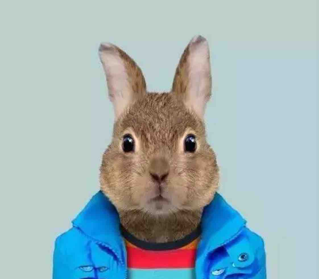 兔先生师傅头像