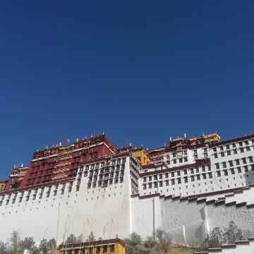 单车旅行头像