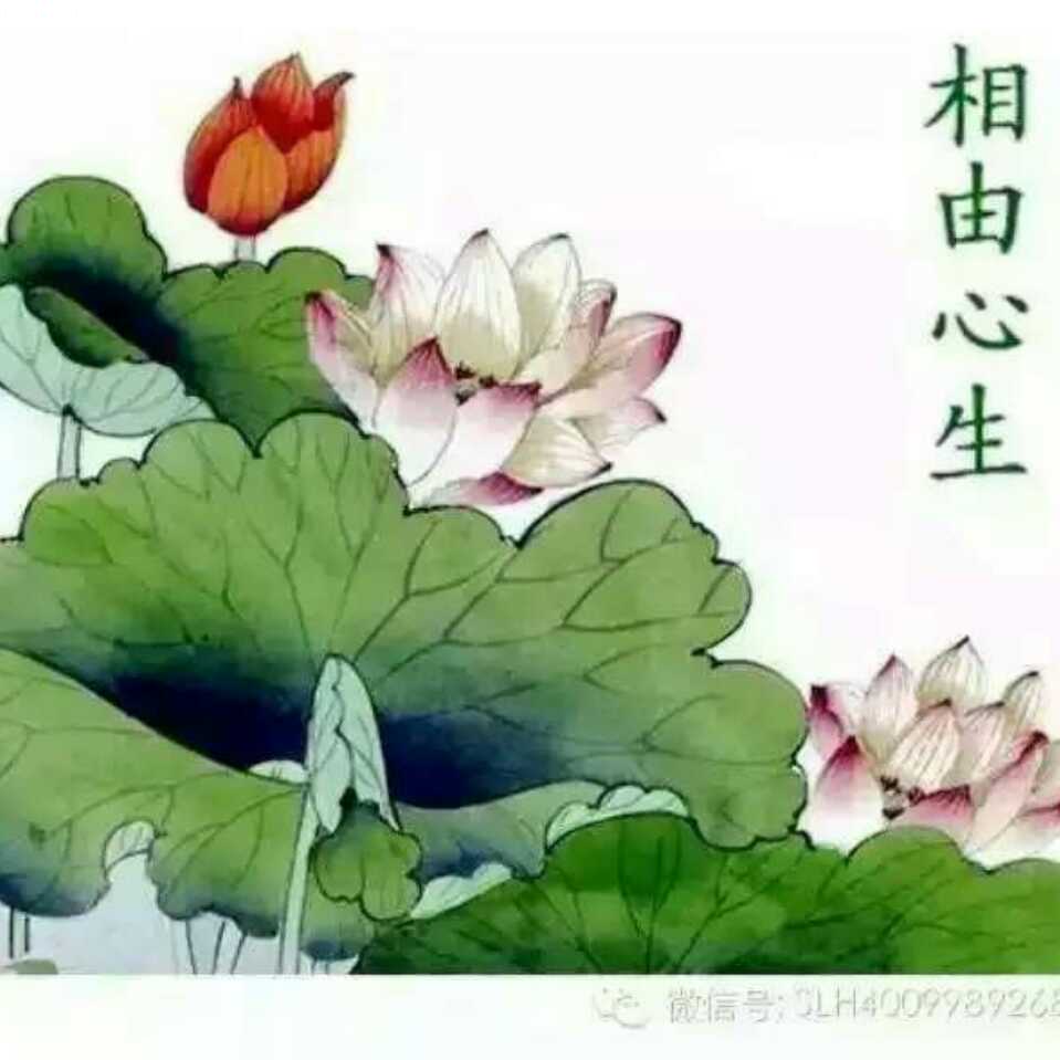 一花一世界一叶一菩提22头像