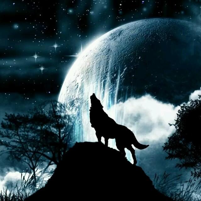 晨曲启明星头像