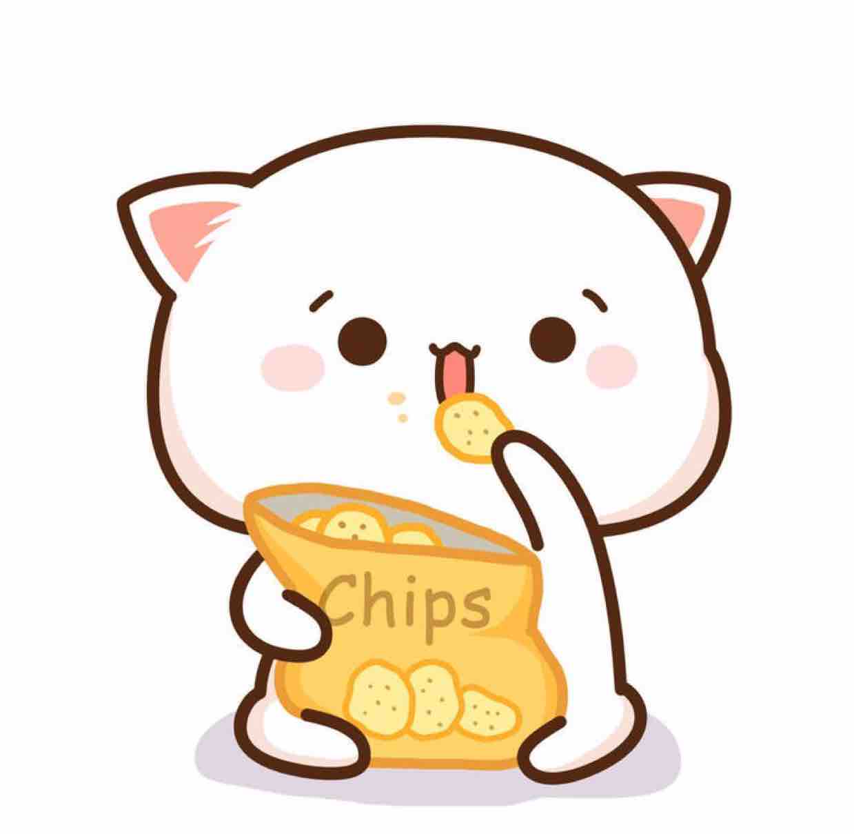 猫咪很可爱哟头像