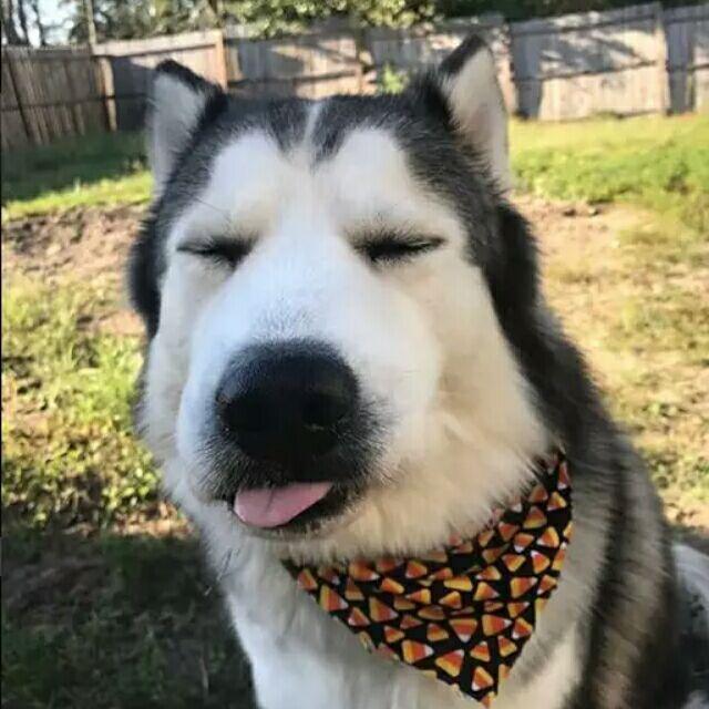 我想你应该有病头像