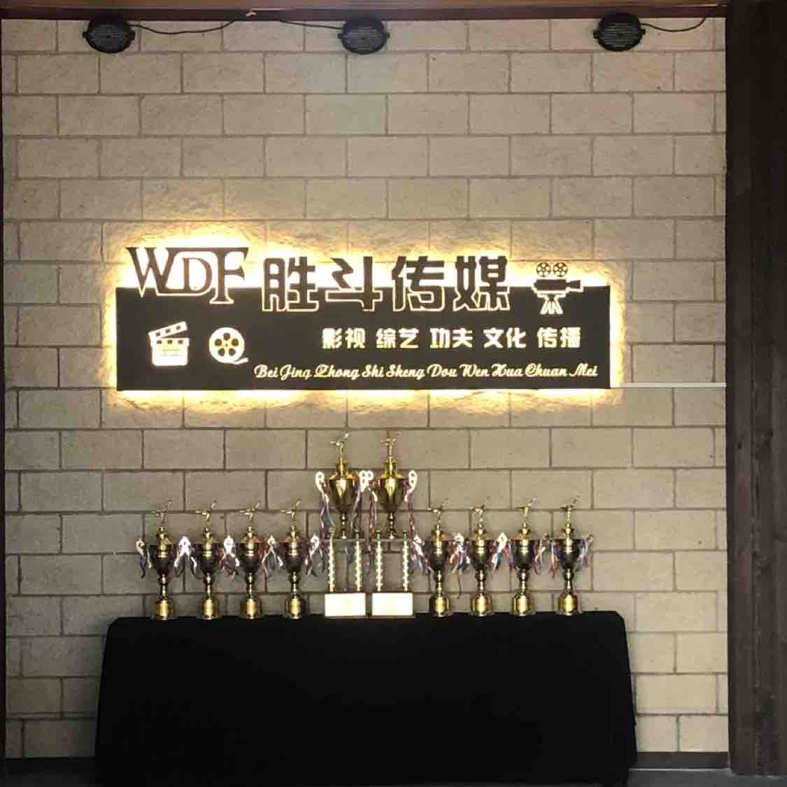 中视胜斗文化传媒头像