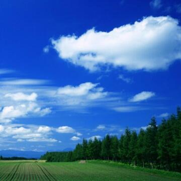 蓝天8850322639021头像