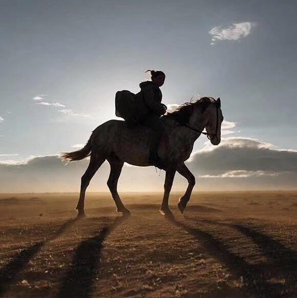 时间旅行者9588头像