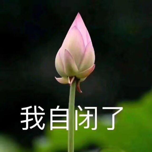 锄禾77086527头像
