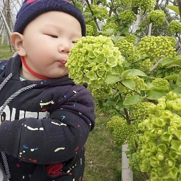 阿牛视屏头像