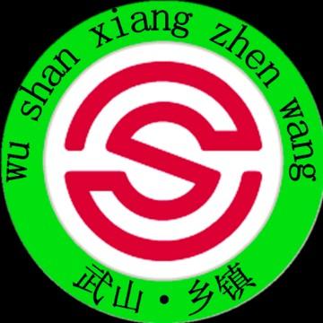 武山乡镇头像