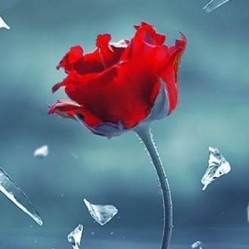 永恒de牵手头像