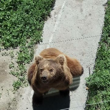 破碎了无痕头像