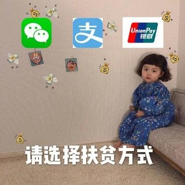 小科机头像