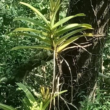 时髦湖泊KQ头像