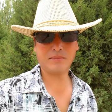 无处随风头像