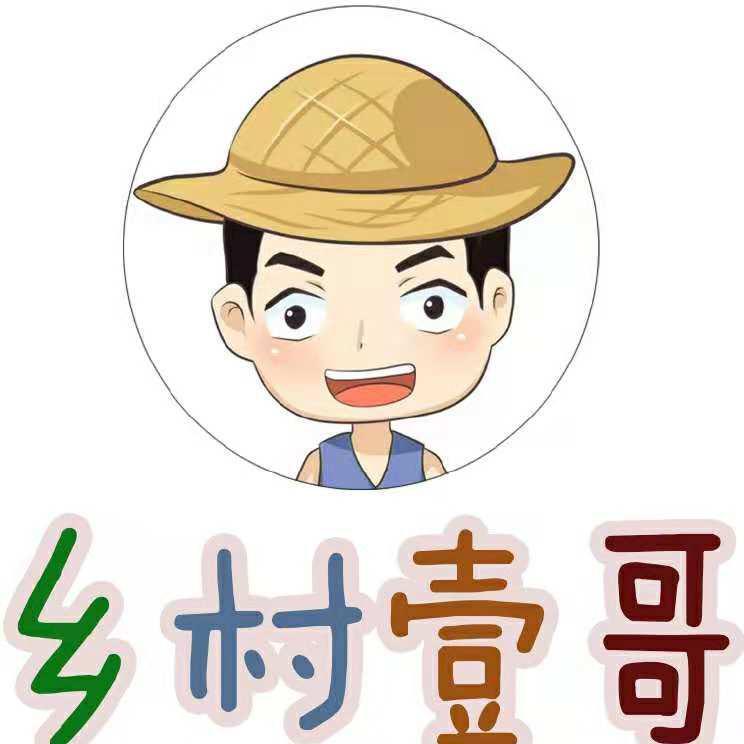 鄉村壹哥yige頭像