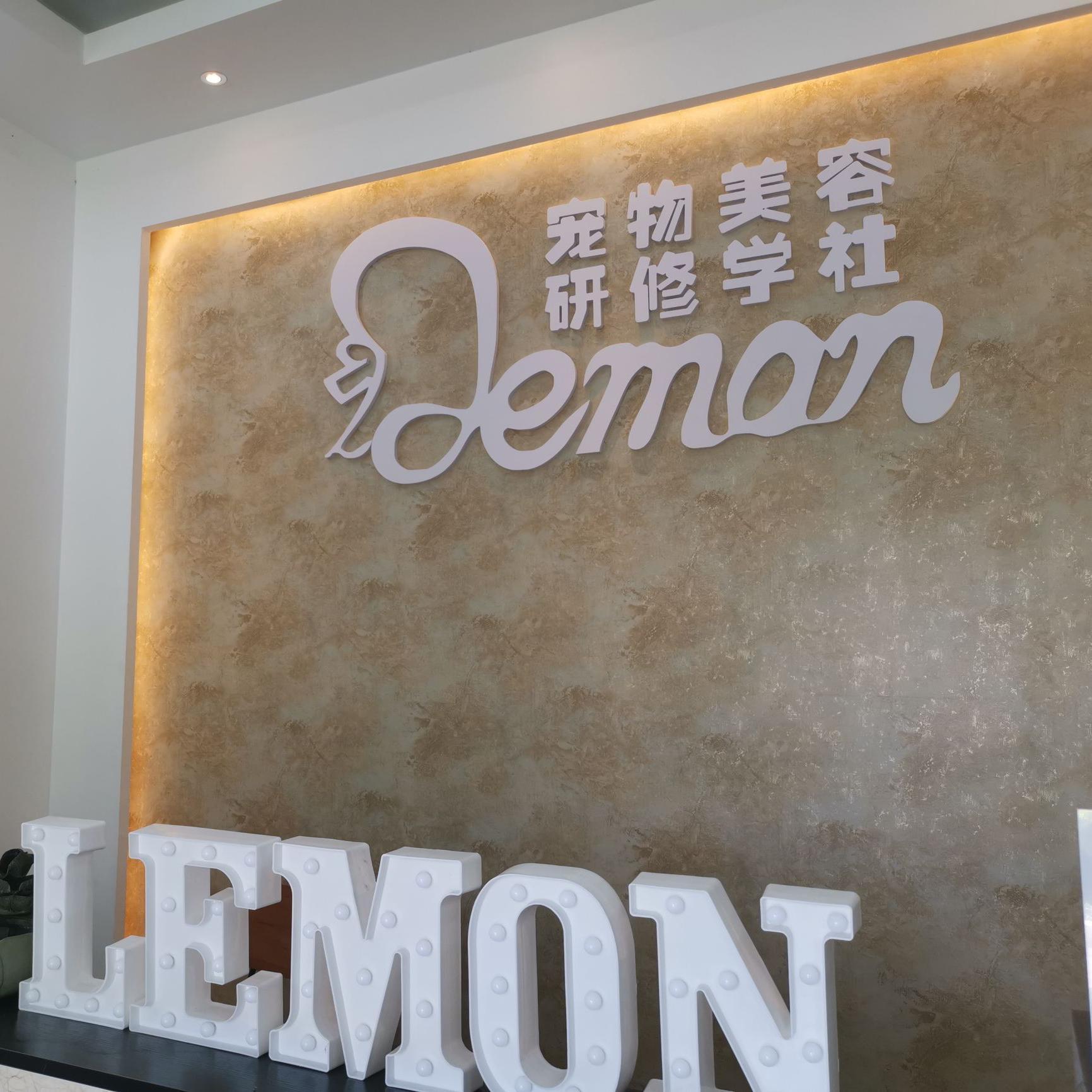 LEMON宠美研修头像