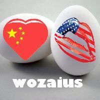 二蛋带你闯美国头像