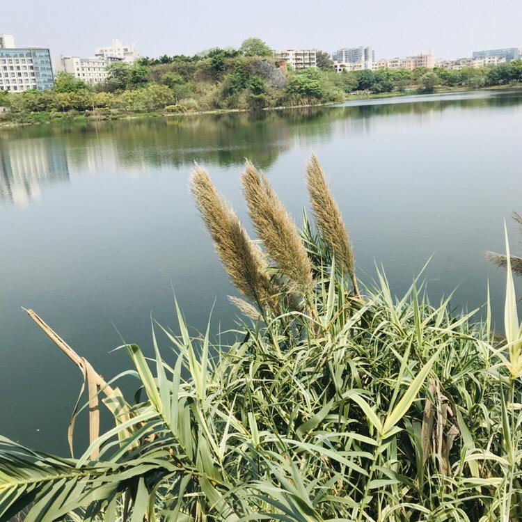 属于你的摄影之路头像