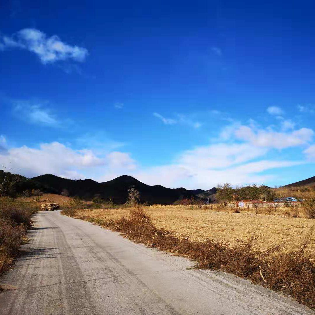 甲午战争历史研究头像