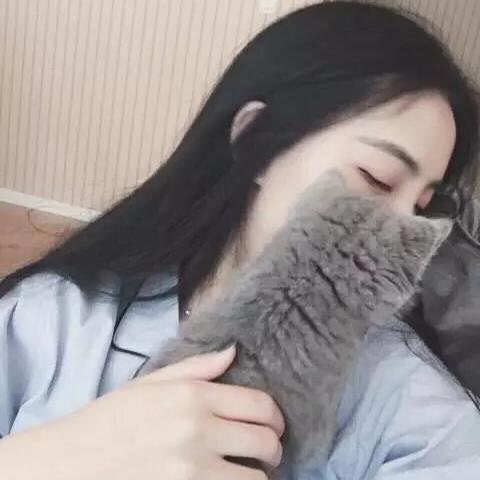 兔兔娱乐集锦头像