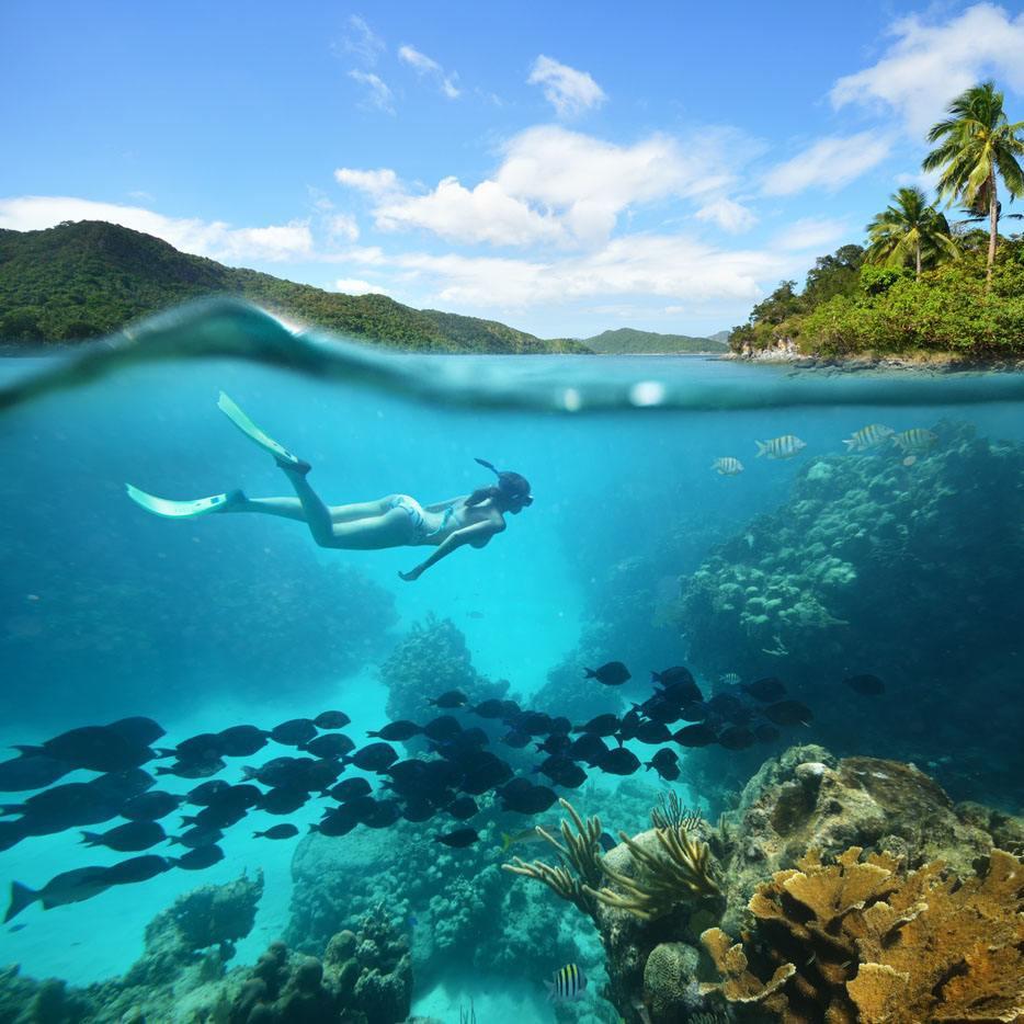 美女潜水赶海抓龙虾,所过之处,片只不留 - 西瓜视频