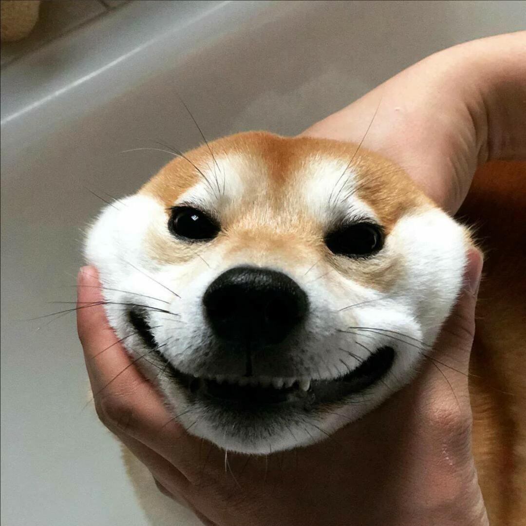 高中学长头像