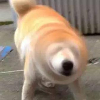 摩拍内容引擎头像