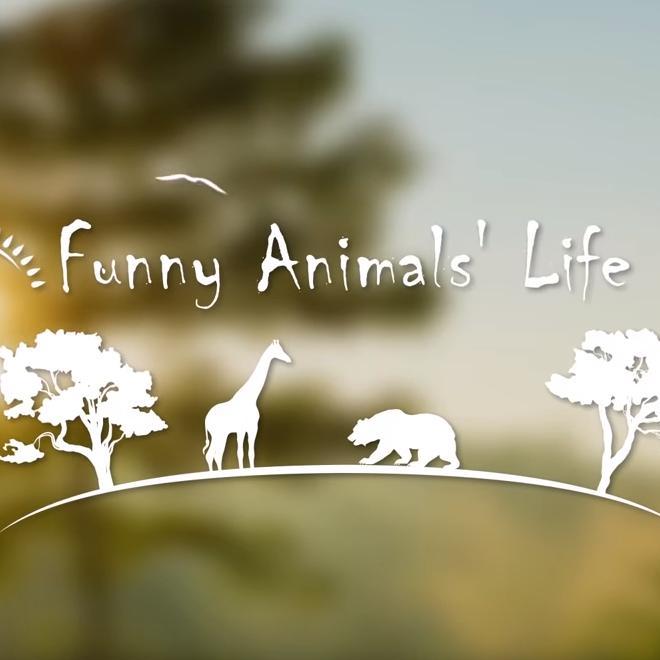 Funnyanimalslife头像