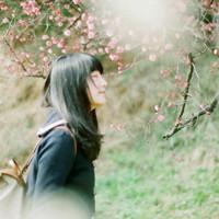 花开花落景头像