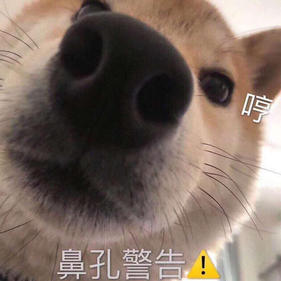 一脸假笑头像