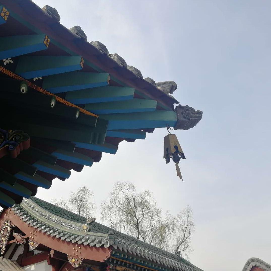 孤独的西风简介:我是一名古建筑修缮工程师,十几年走了很多的地方.