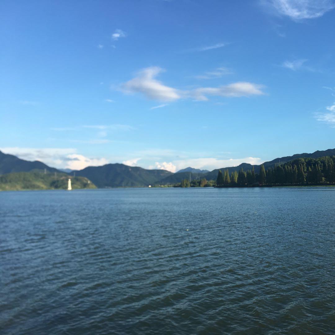 黄浦江畔话投资头像