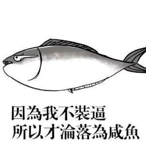 敏锐豆浆55头像