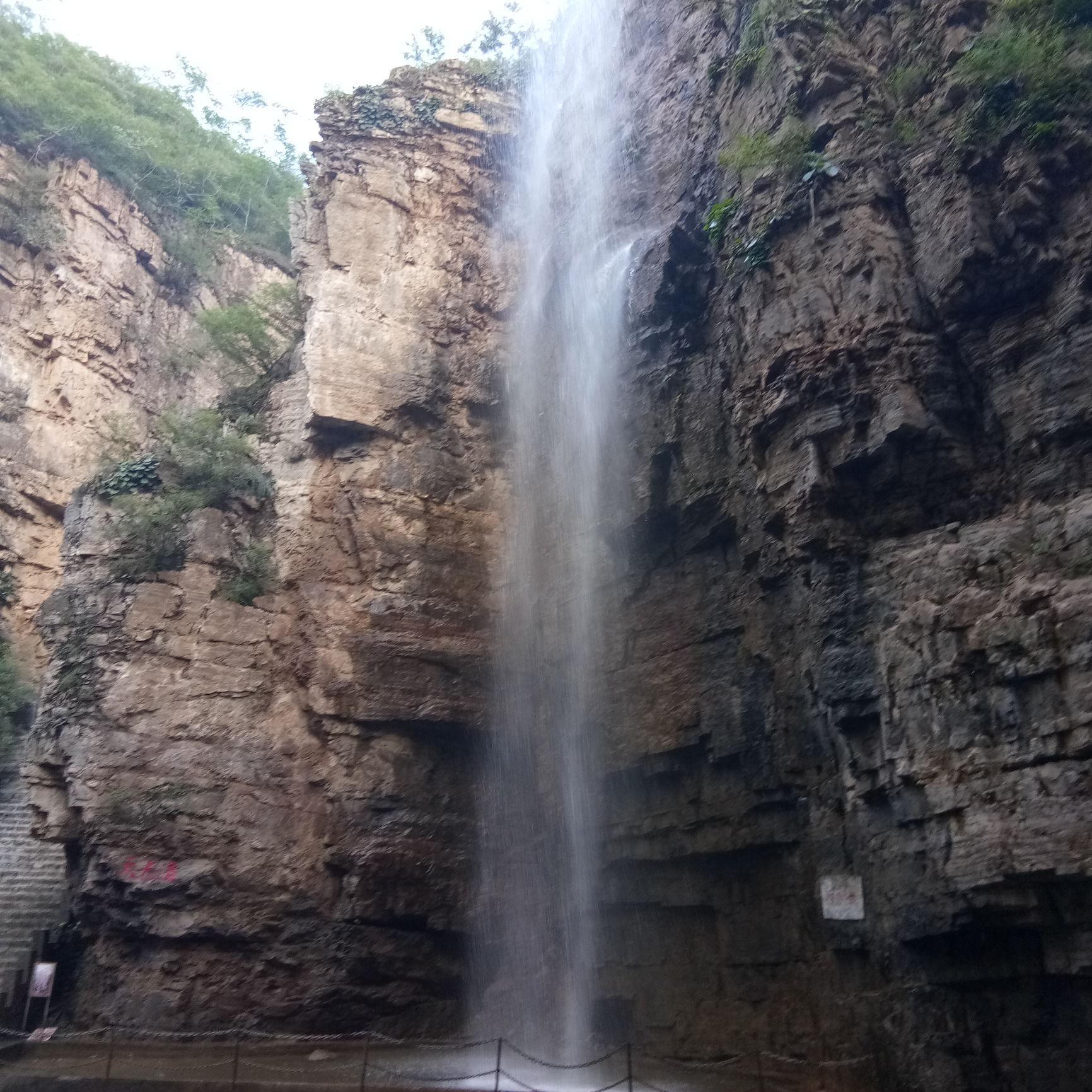 壶阿右头像