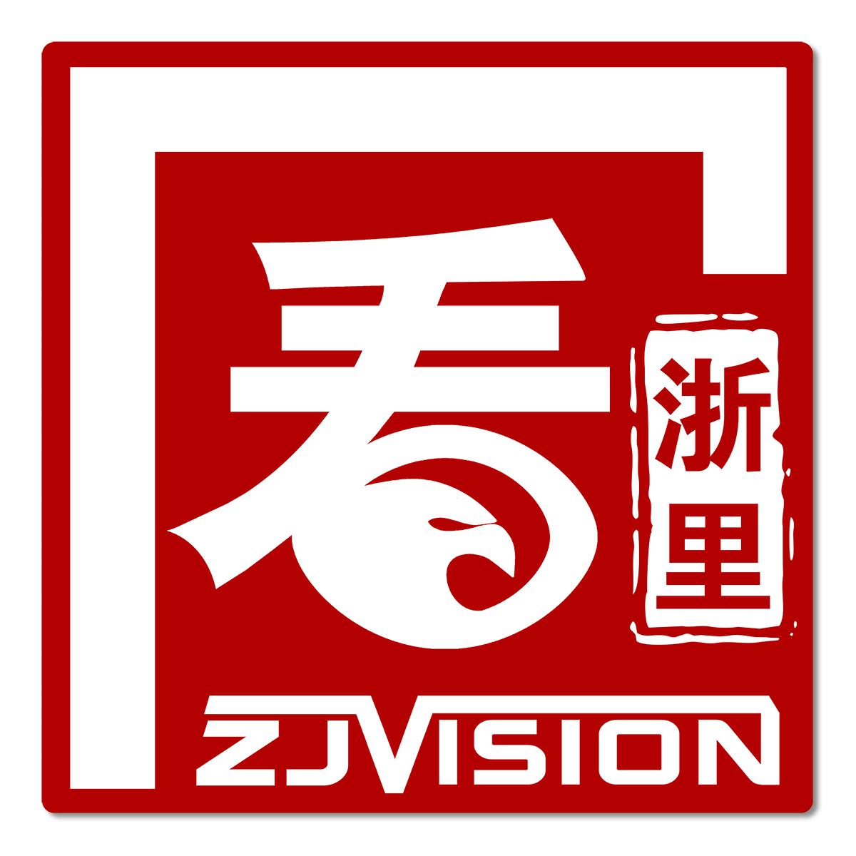 ZJVISION头像