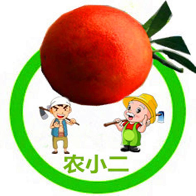 农小二果果头像