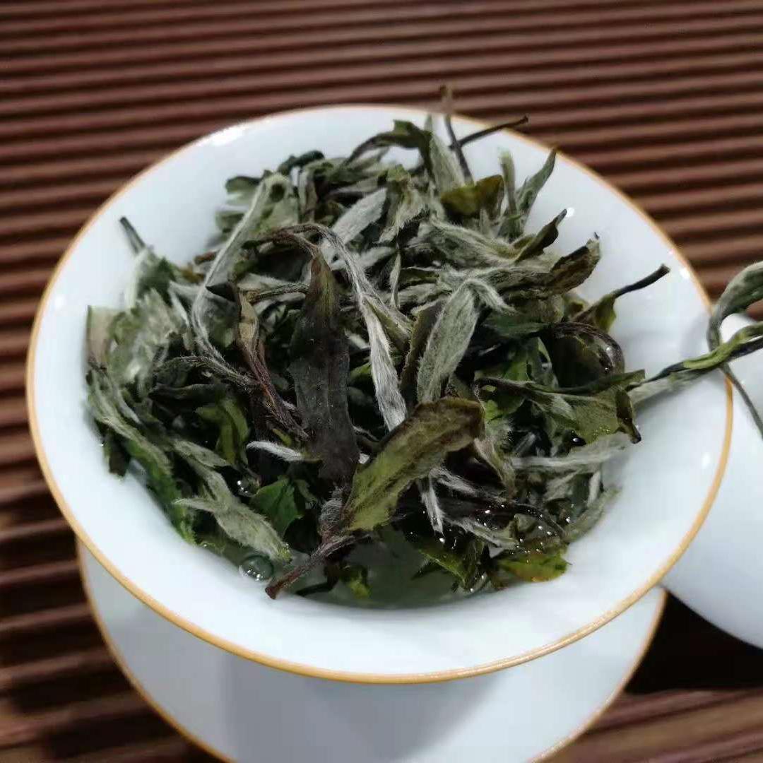 大爱白茶头像