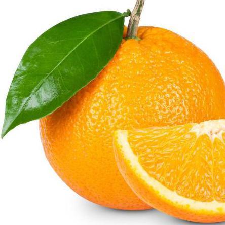 橙子君头像