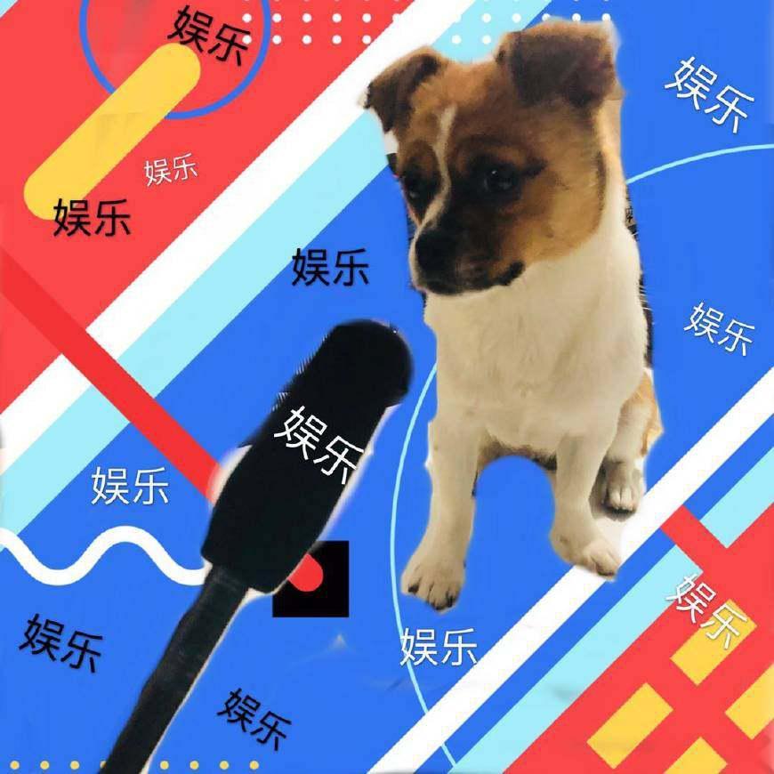 可乐是条音乐狗头像